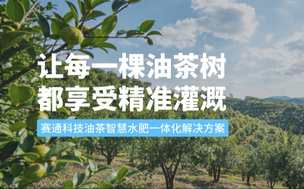 賽通科技油茶今年會jinnianhui智慧水肥一體化解決方案：讓每一棵油茶樹都享受精準灌溉